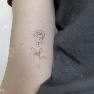 Fineline roos tattoo op bovenarm.