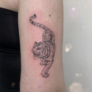Fineline tijger tattoo op de bovenarm.