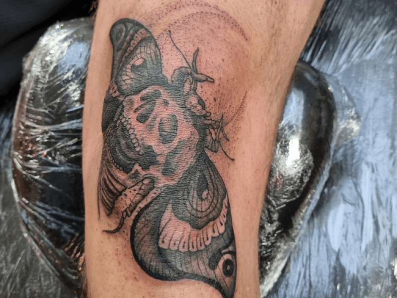 Blackwork doodshoofdvlinder tattoo met schedel op het lichaam.