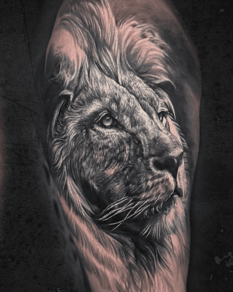 Realistische zwart-wit leeuwenkop tattoo op bovenarm.