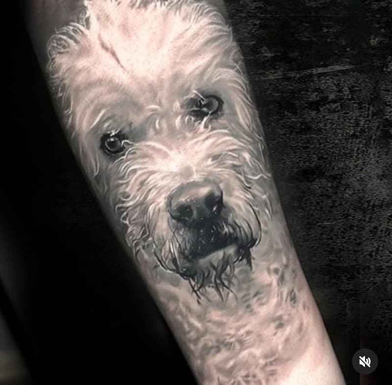 Realistisch portret van een witte hond op de onderarm.