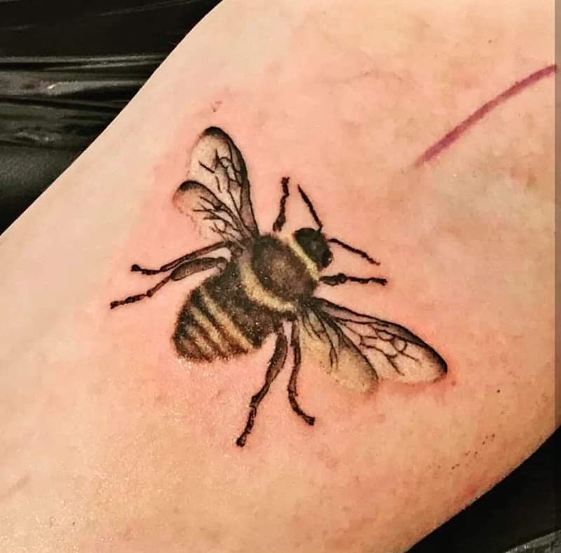 Realistische bij tattoo op de arm.