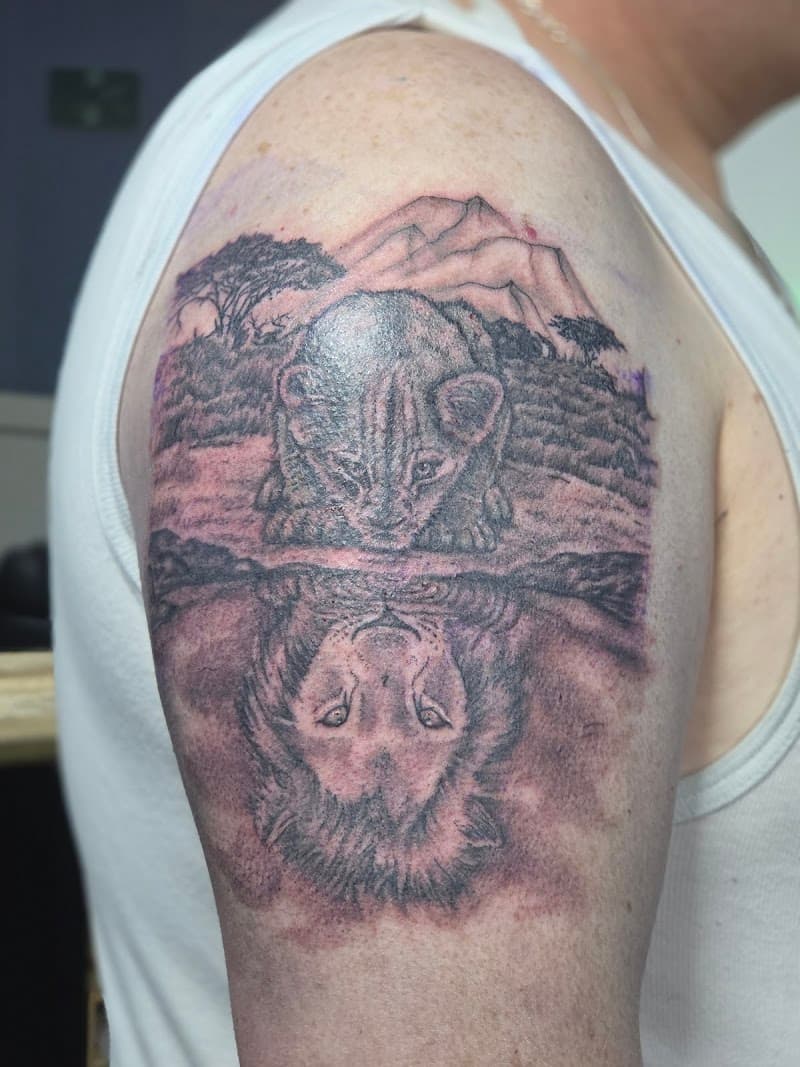 Leeuwenwelp kijkt naar spiegelbeeld van volwassen leeuw in water.