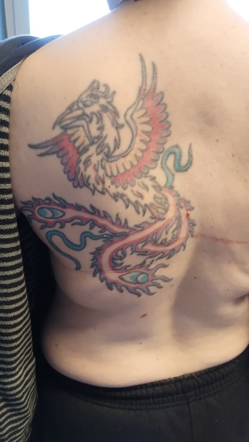 Grote, kleurrijke feniks tattoo op de rug.