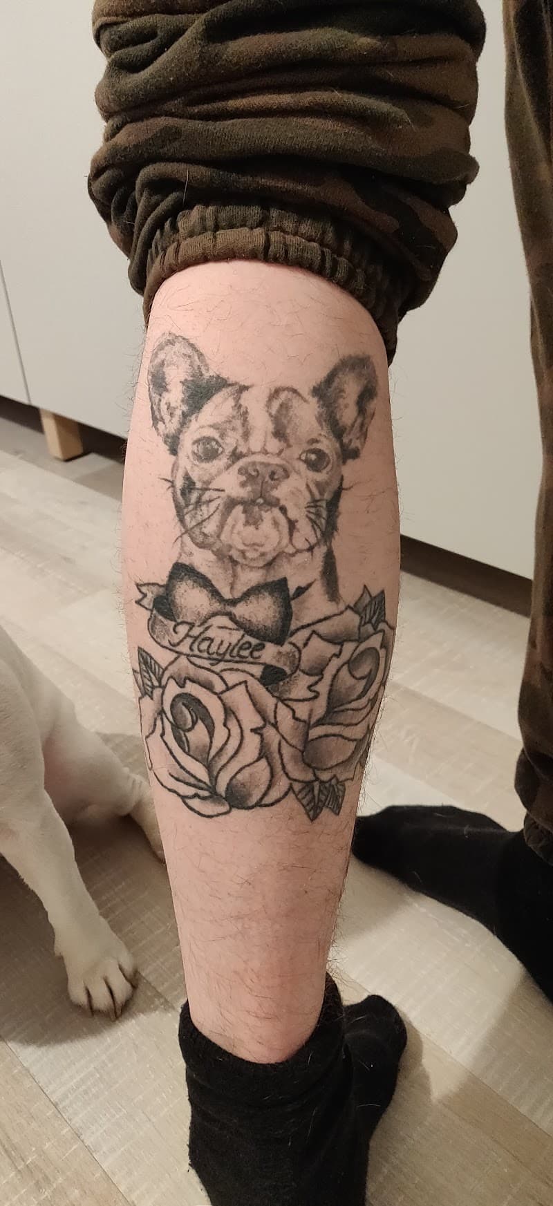 Blackwork tattoo van een Franse bulldog met strik en rozen op het onderbeen.