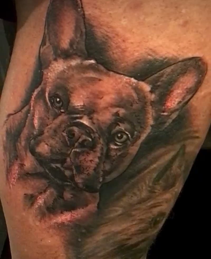 Realistisch kleurenportret van een Franse bulldog.