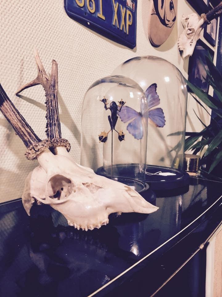 Smash Monkey Tattoo parlor