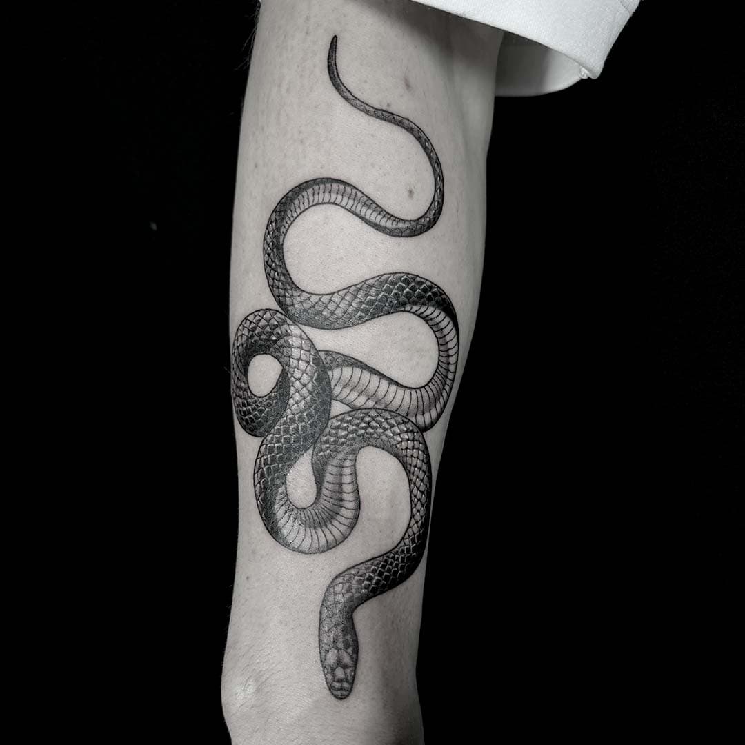 Gedetailleerde blackwork slang tattoo op de onderarm.