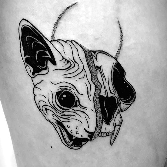 Blackwork tattoo van een Sphynx kat half schedel met een dotwork halve maan.