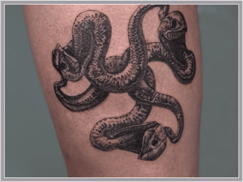 Zwart-wit tattoo van een driekoppige slang op het onderbeen.