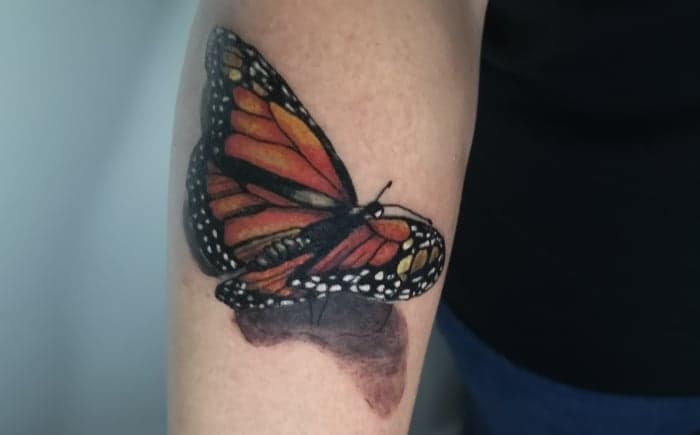 Realistische monarchvlinder met schaduw op de onderarm.