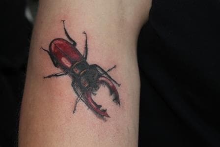 Realistische vliegend hert kever tattoo op de bovenarm.