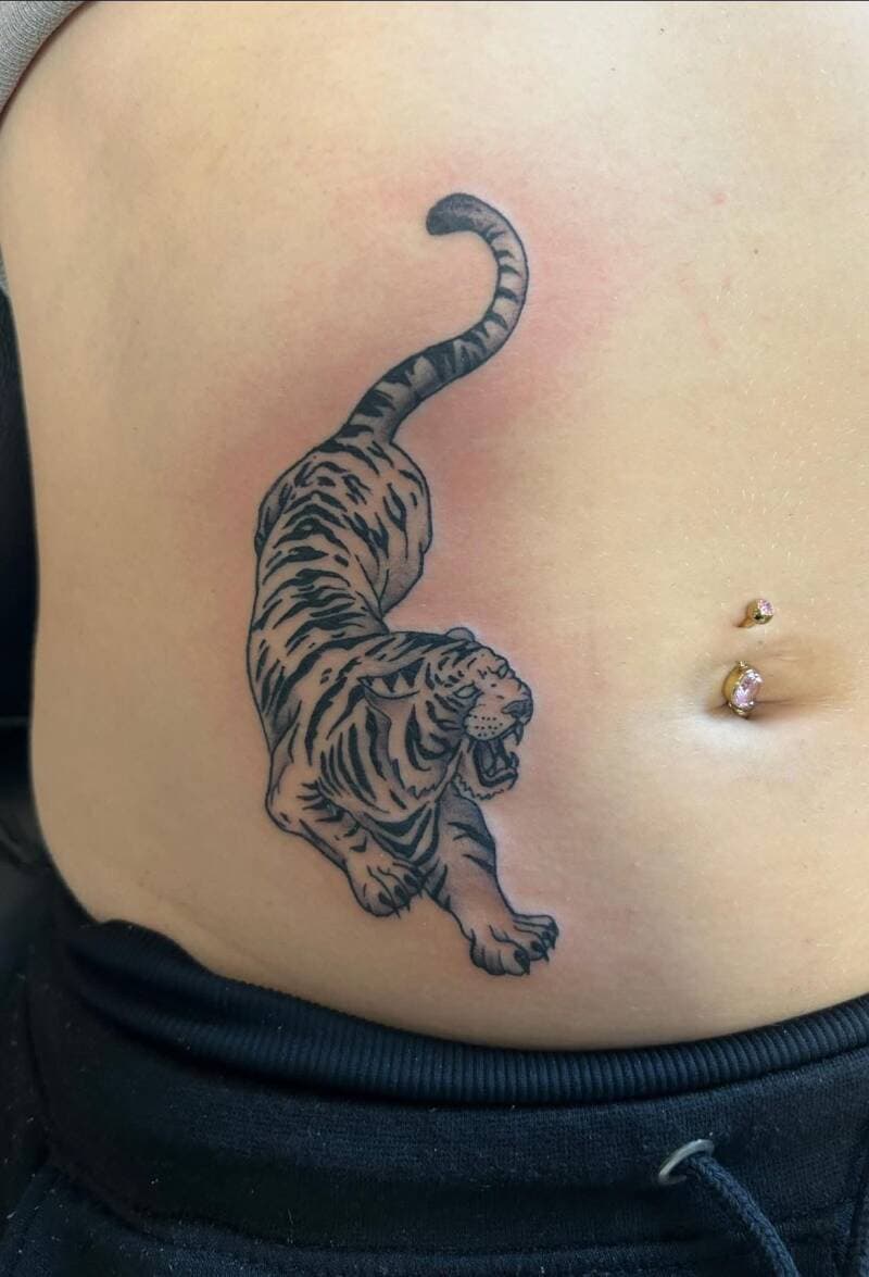 Zwart-witte tijger in actie op de buik.