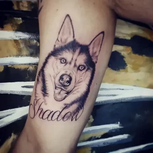 Realistisch portret van een husky met de naam 'Shadow' eronder.