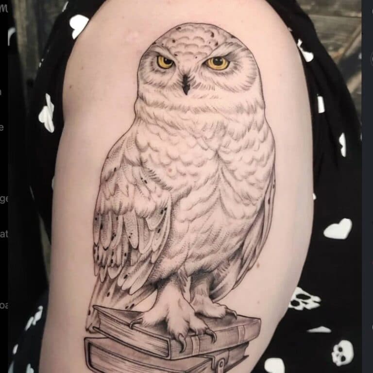 Realistische sneeuwuil met gele ogen op een stapel boeken.