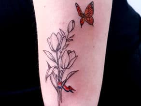 Fineline tulpen met een oranje vlinder en een rood-wit-blauw lintje.