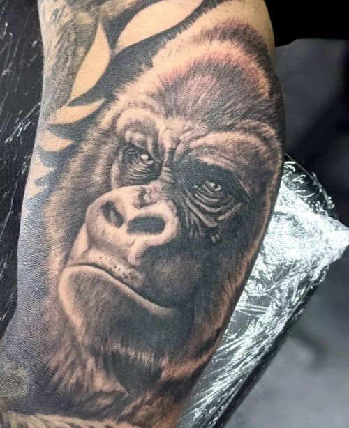 Realistische gorilla portret tattoo op de bovenarm.