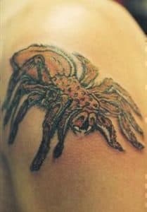 Realistische tarantula spin tattoo op de schouder.