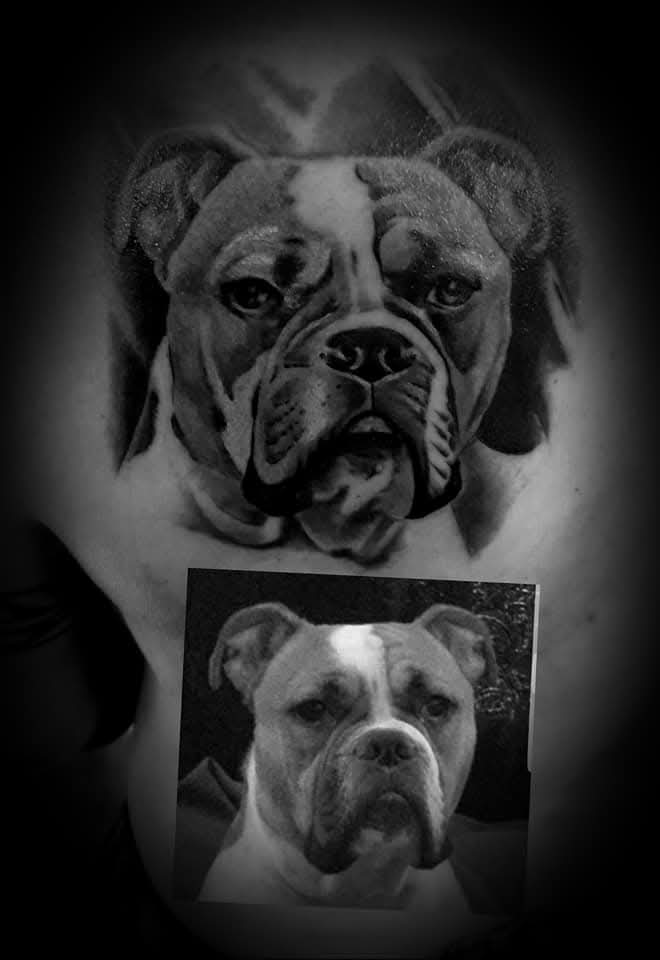 Realistisch zwart-wit portret van een boxer hond op de borst.