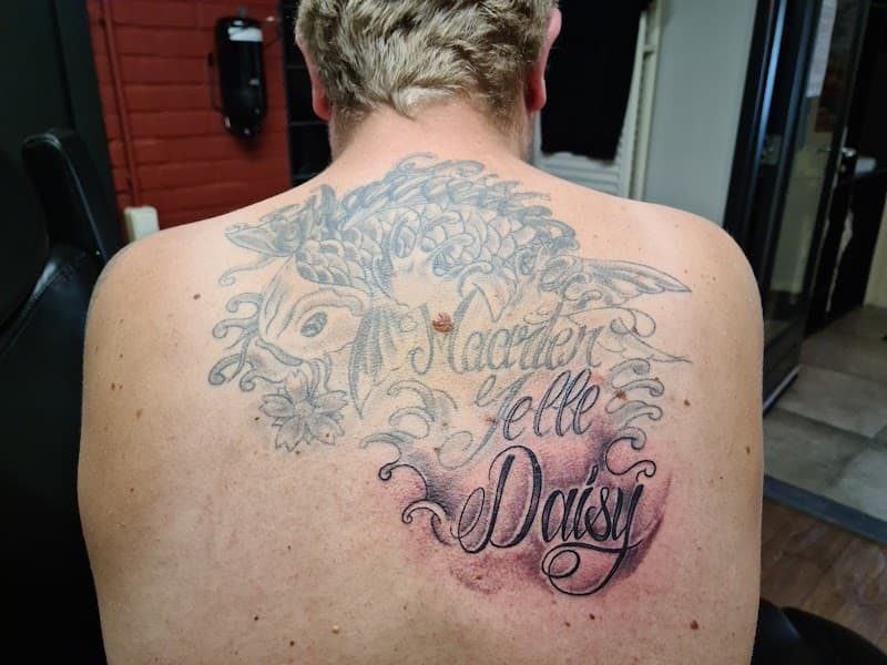 Oude koi karper met nieuwe namen 'Maarten Jelle Daisy' op rug.