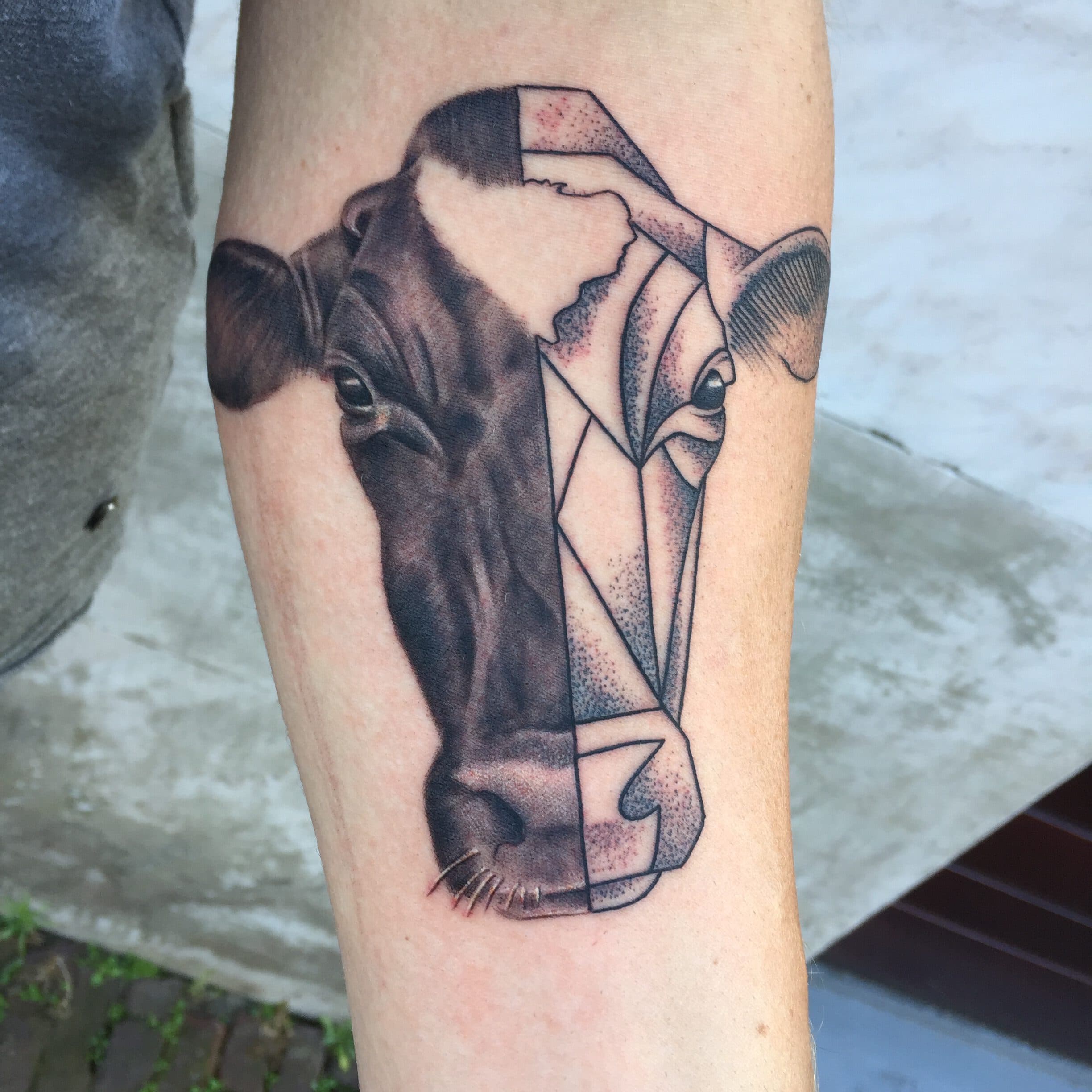 Koeienkop tattoo, half realistisch en half geometrisch met dotwork.