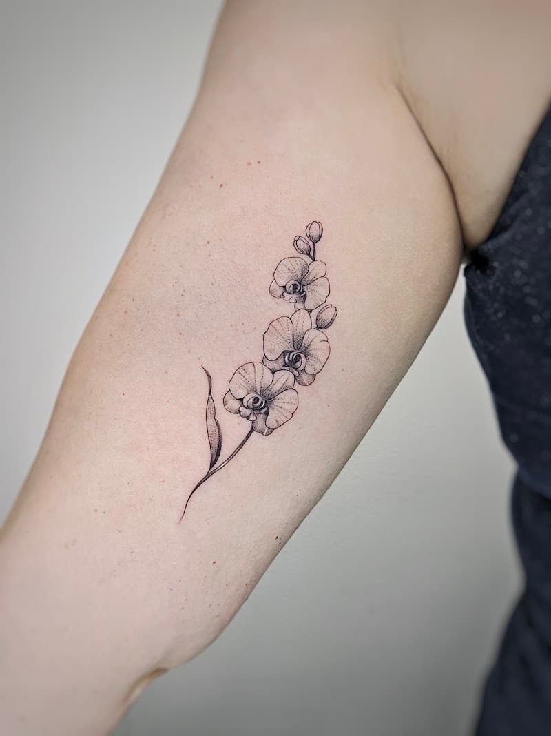 Elegante fineline orchideeëntak op de bovenarm.