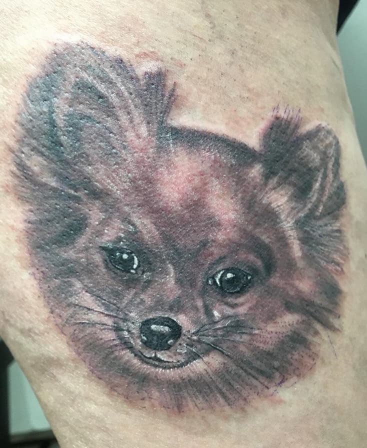 Realistisch portret van een klein, pluizig hondje in black & grey.