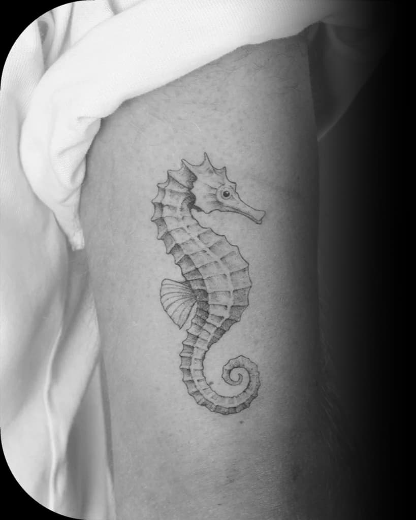 Gedetailleerde fineline zeepaardje tattoo op de bovenarm.