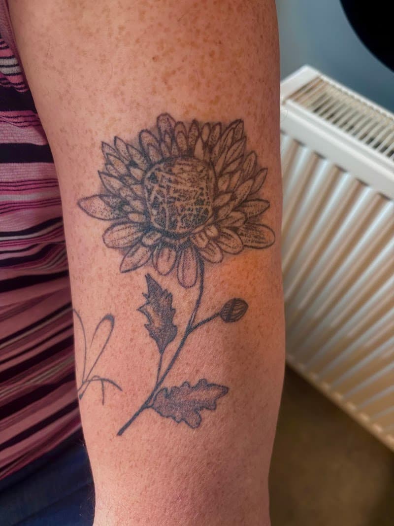 Zwart-wit fineline tattoo van een chrysant bloem op de bovenarm.