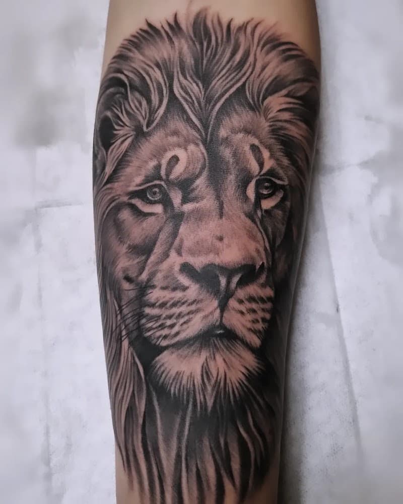 Realistische leeuwenkop tattoo op de onderarm.