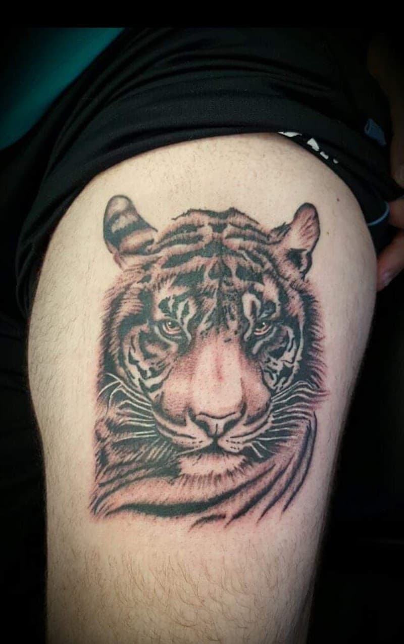 Realistische tijgerkop tattoo op het bovenbeen.