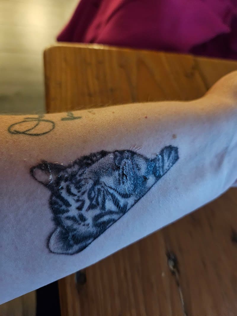 Realistische zwart-wit tattoo van een slapende kat op de onderarm.