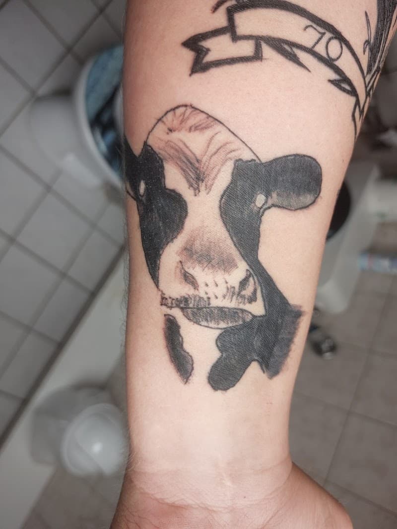 Zwart-wit portret van een koe op de onderarm.