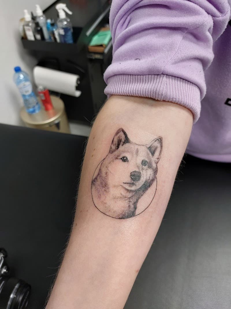 Realistisch portret van een Shiba Inu hond in een cirkel op de onderarm.