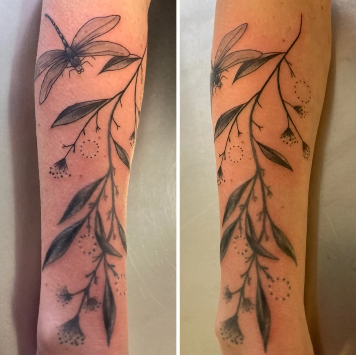 Illustratieve tattoo van een tak met bladeren en een libel op de onderarm.