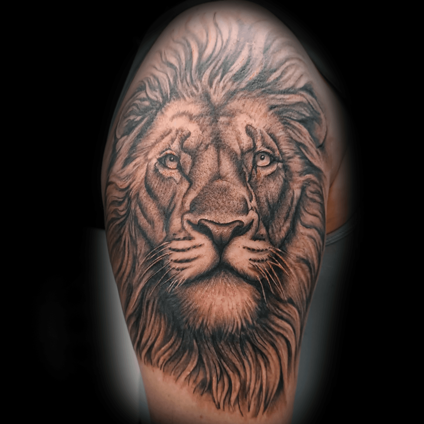 Realistische leeuwenkop tattoo op de bovenarm.