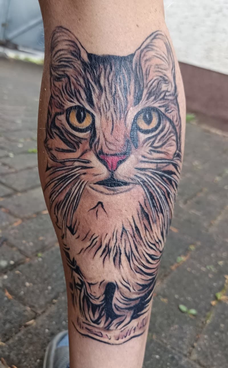 Realistisch portret van een cyperse kat met gele ogen op het onderbeen.