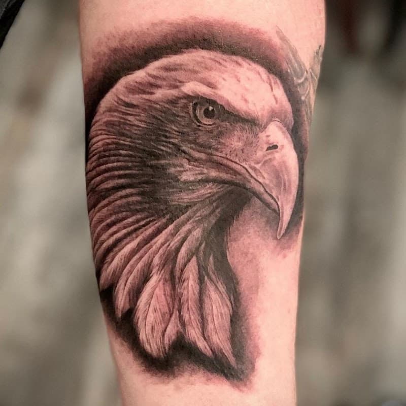 Realistische zwart-wit tattoo van een arendskop op de onderarm.