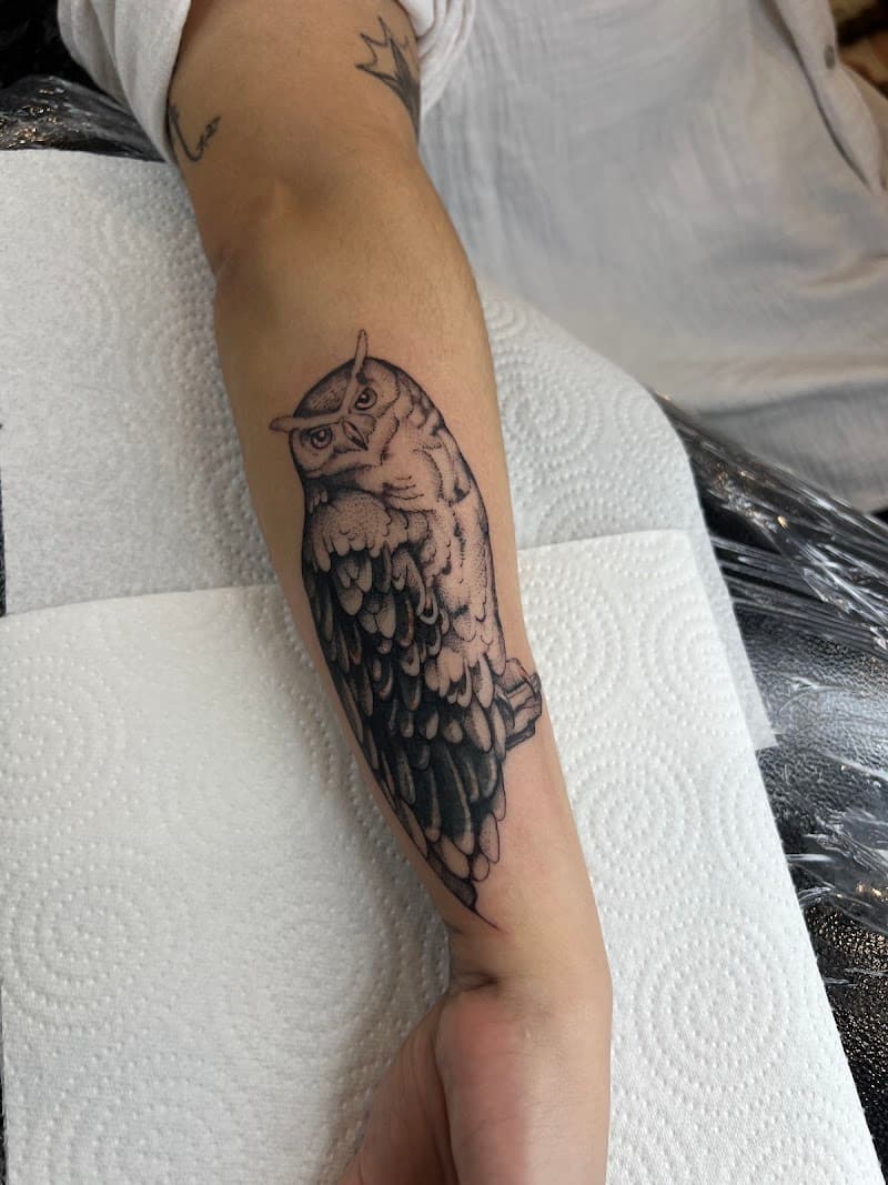 Zwart-grijze uil tattoo op de onderarm, met twee kleinere tattoos erboven.