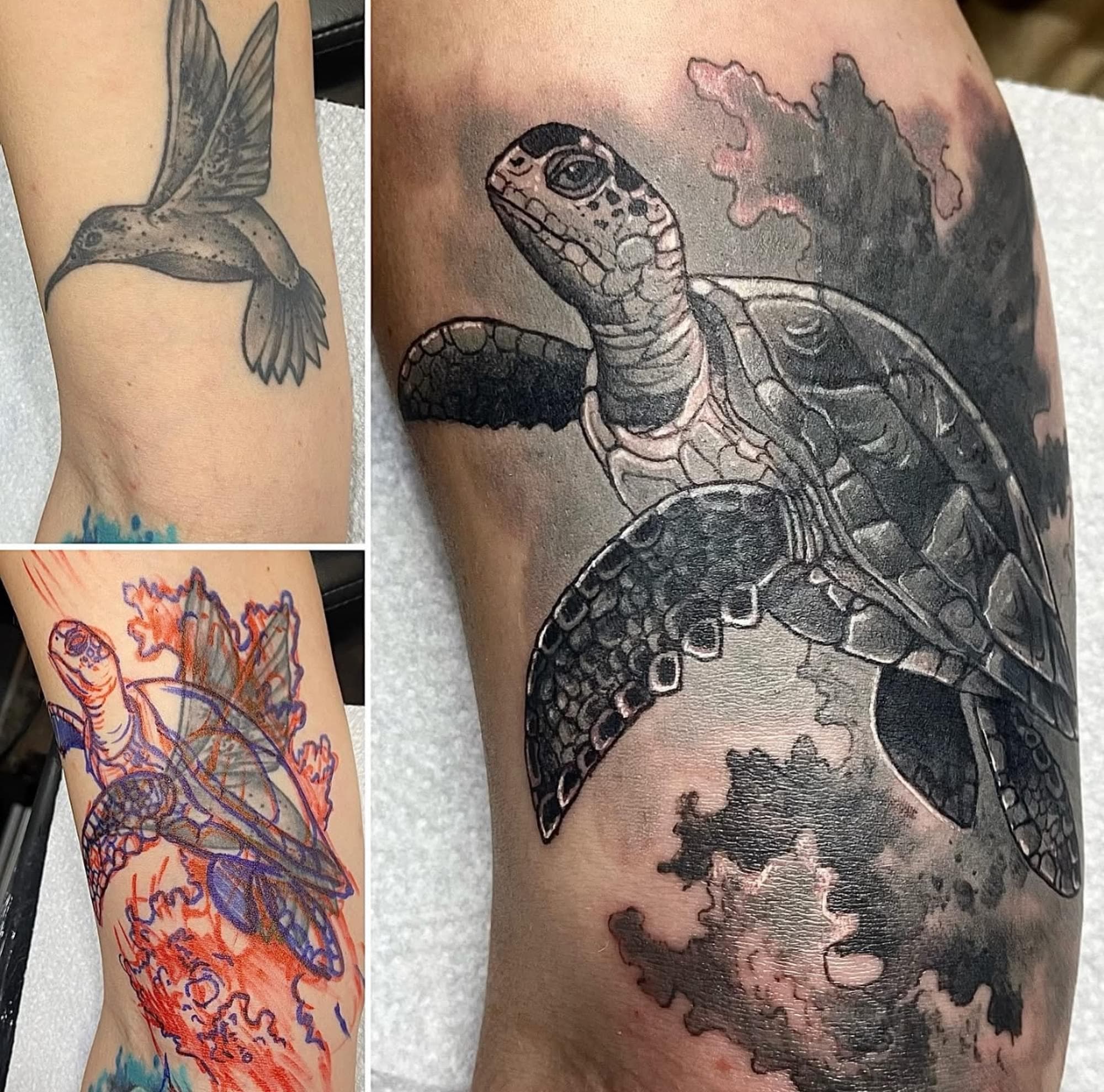 Cover-up tattoo van een realistische zeeschildpad over een oude kolibrie.