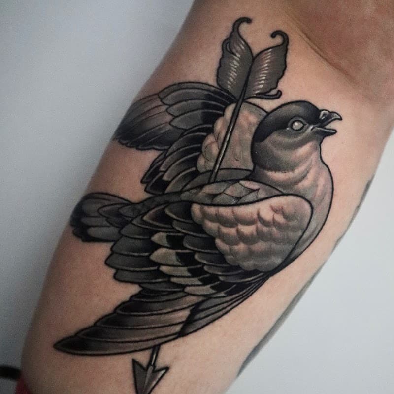 Traditionele zwart-wit tattoo van een vogel doorboord met een pijl.