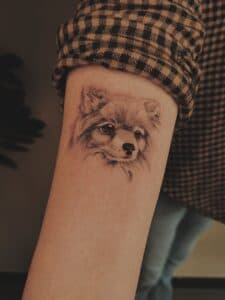 Realistisch portret van een Pomeranian hondje op de onderarm.