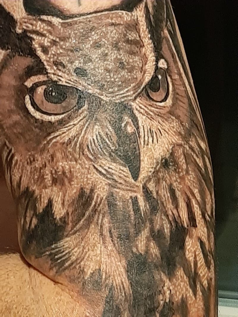 Realistische close-up van een uil op de bovenarm.