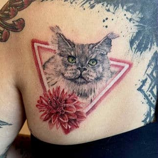 Realistische Maine Coon kat in een driehoek met een rode dahlia bloem.