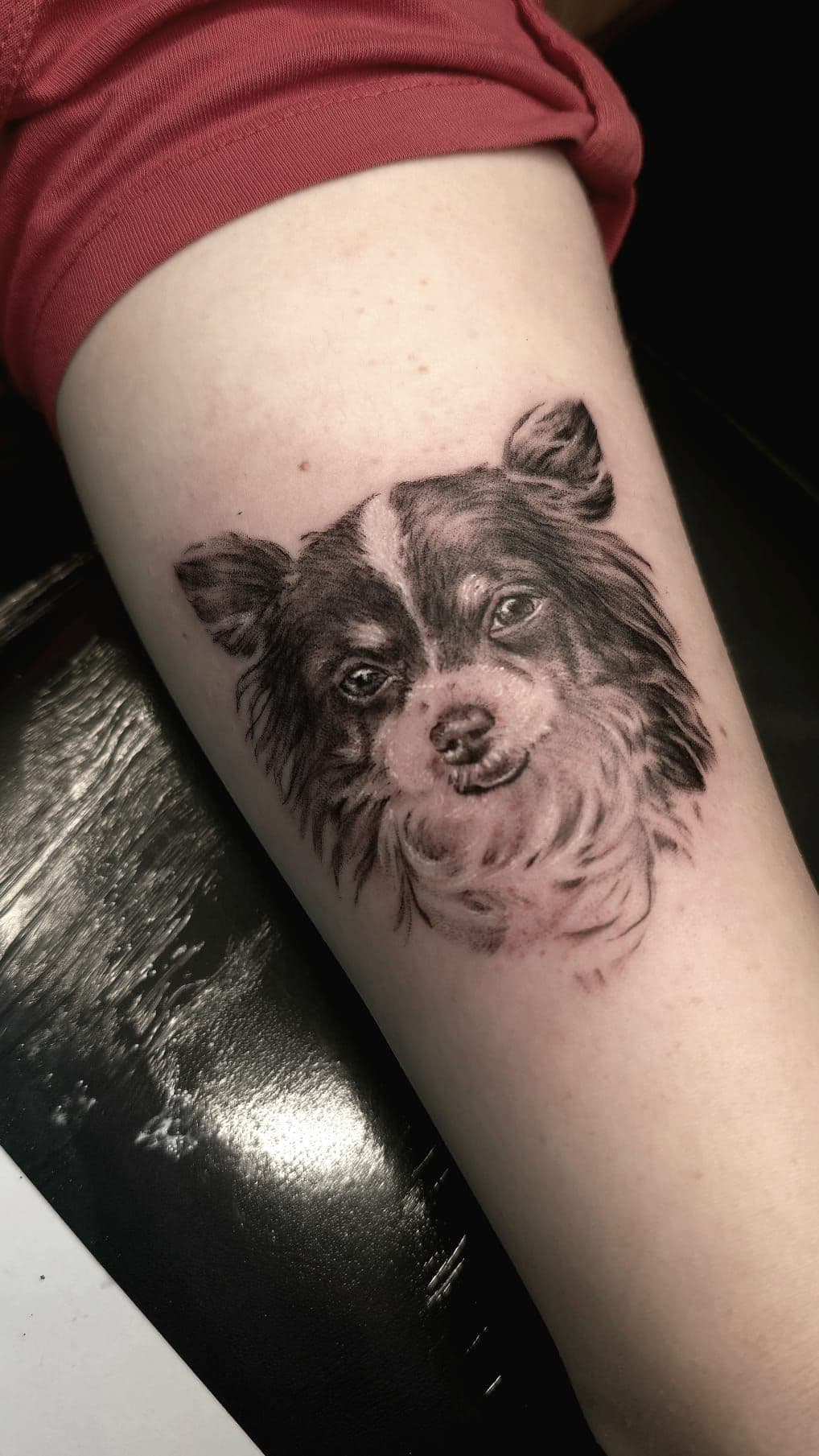 Realistisch portret van een langharige Chihuahua op de bovenarm.