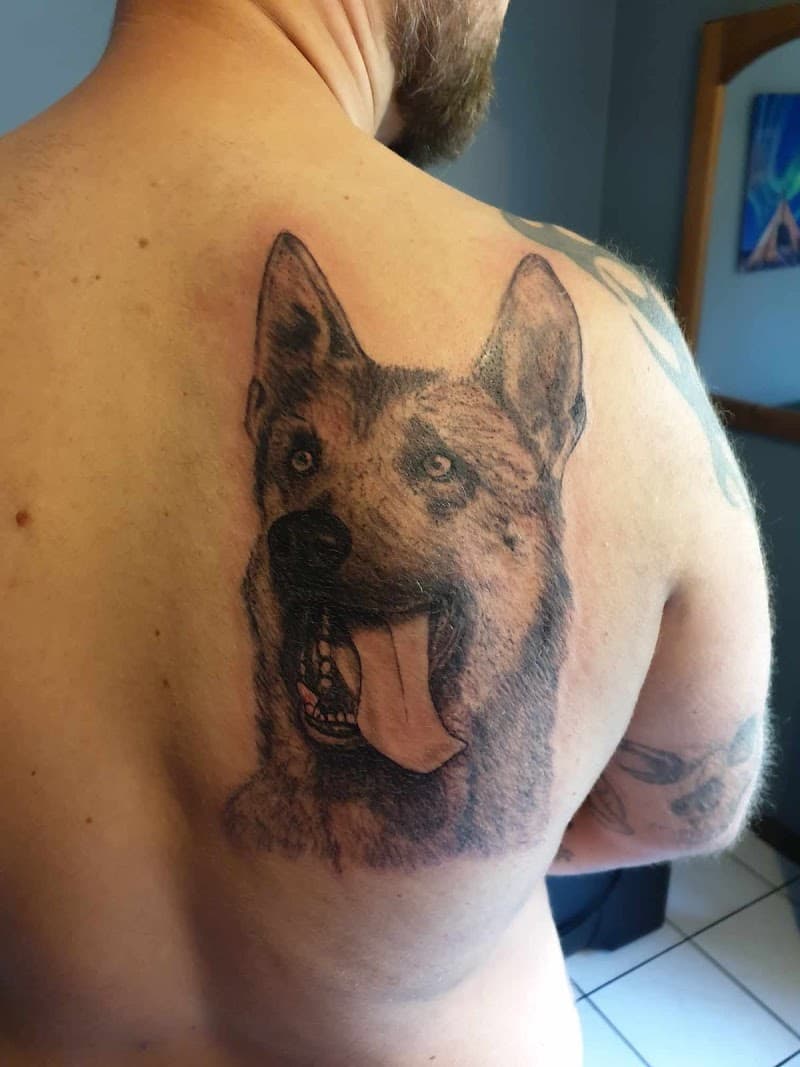 Realistisch portret van een Duitse Herder op de rug.