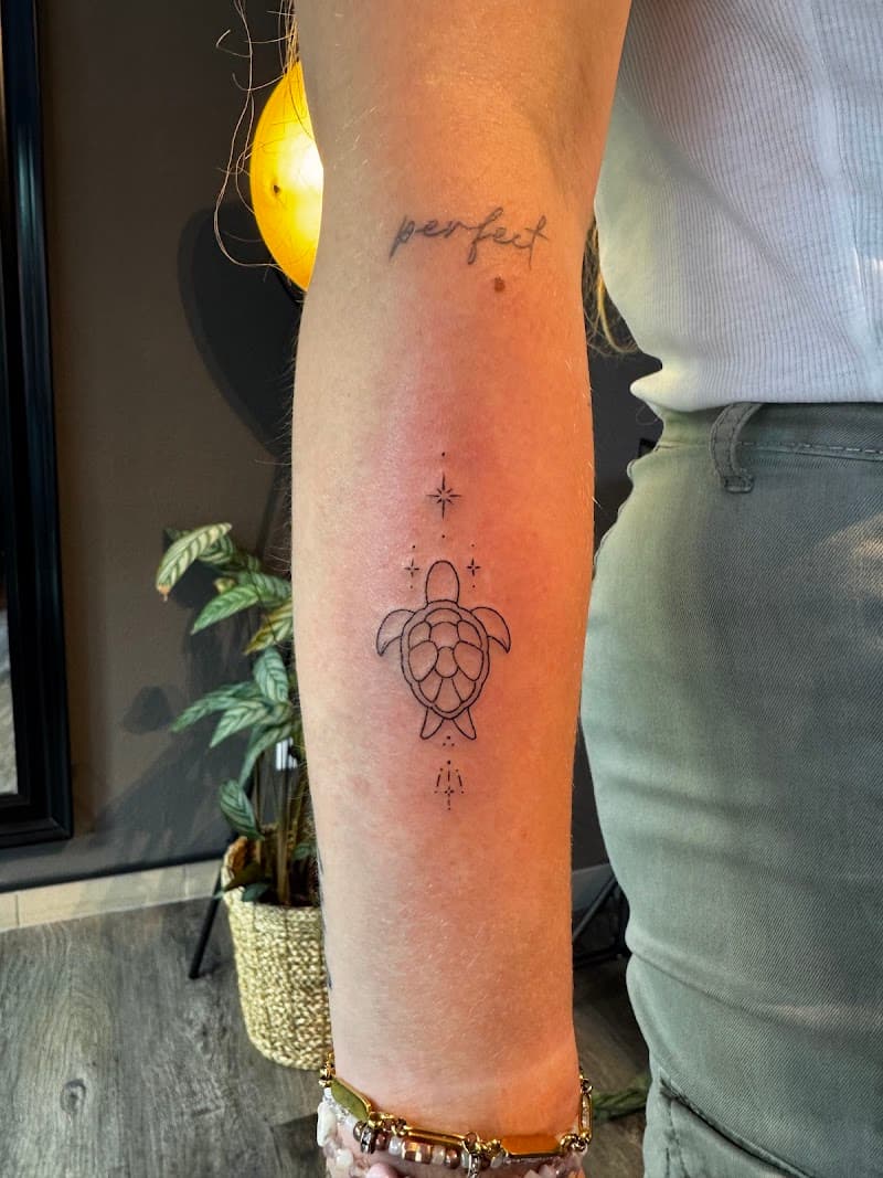 Fineline schildpad en 'perfect' tekst op onderarm.