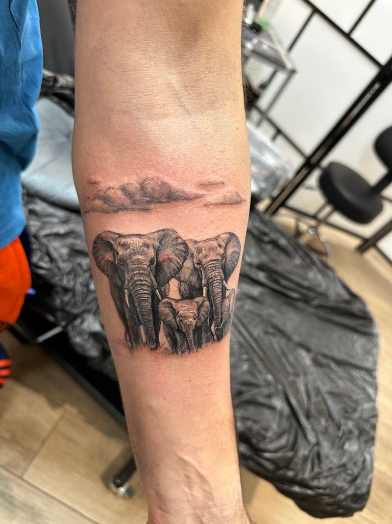 Realistische olifantenfamilie met wolken op onderarm.