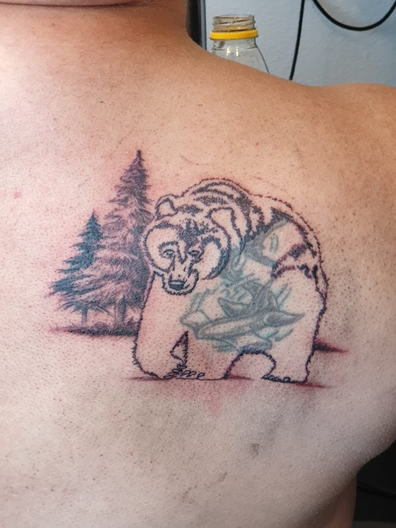 Beer met boslandschap erin en bomen op de achtergrond.