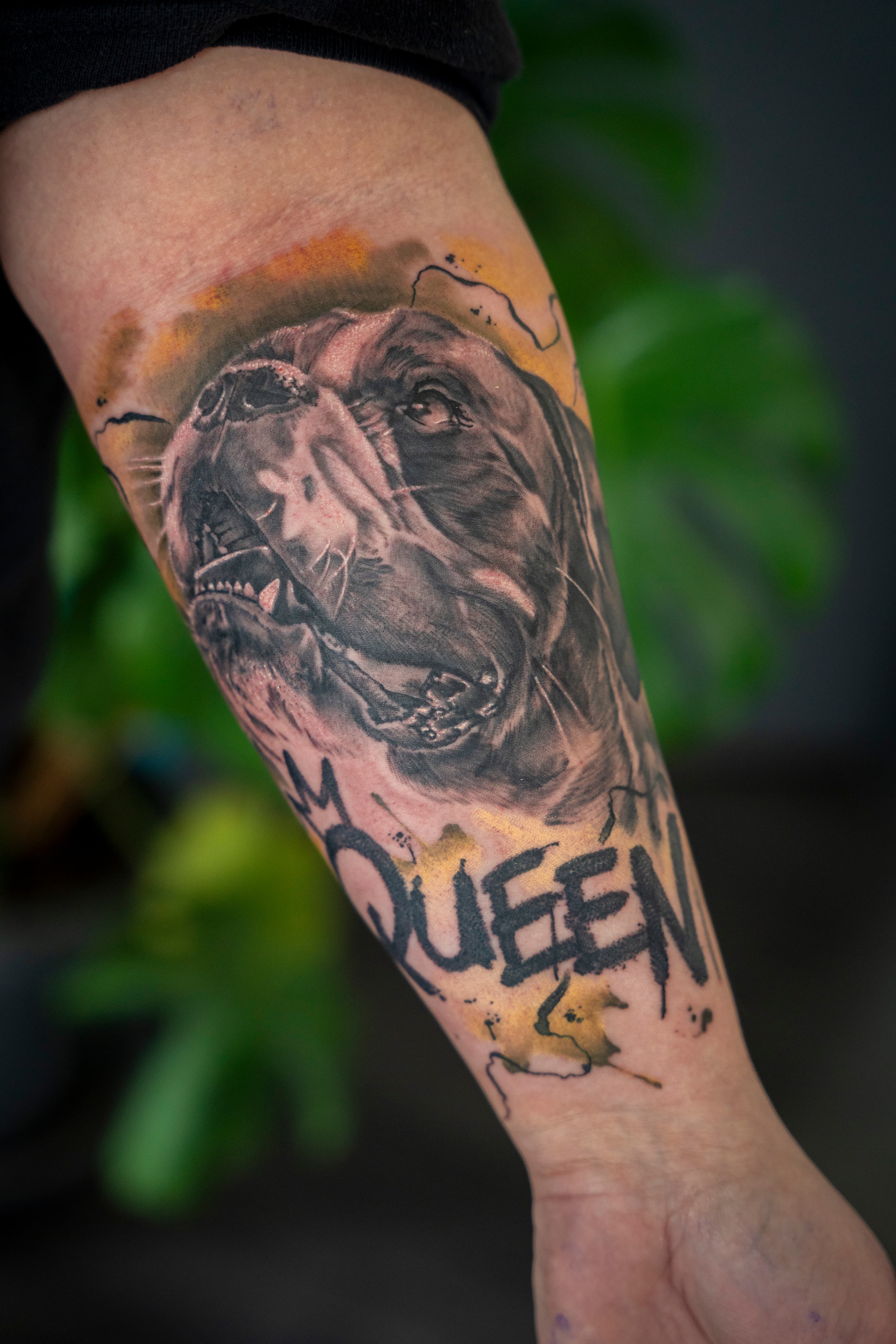 Realistisch hondenportret met 'QUEEN' tekst en gele watercolor op onderarm.